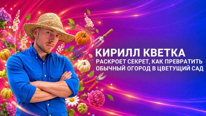 Лучший сухоцвет на зиму: советы по выращиванию кермека от Кирилла Кветки
