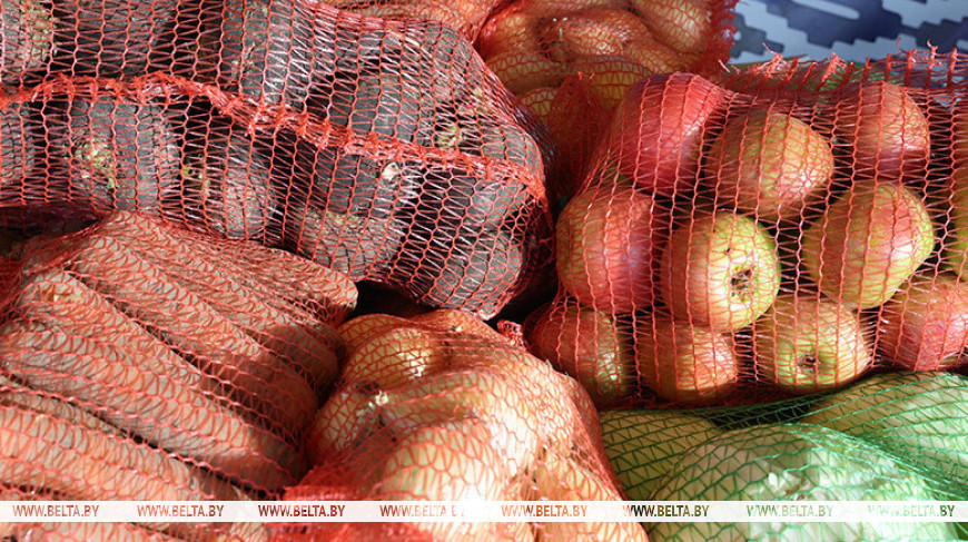 Беларусь рассчитывает нарастить поставки плодоовощной продукции в Санкт-Петербург