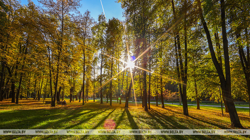 Ожидать ли ночных заморозков в ближайшее время, рассказали синоптики