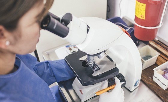 Всемирная организация здравоохранения проверяет информацию о смерти медработника в Иркутской области