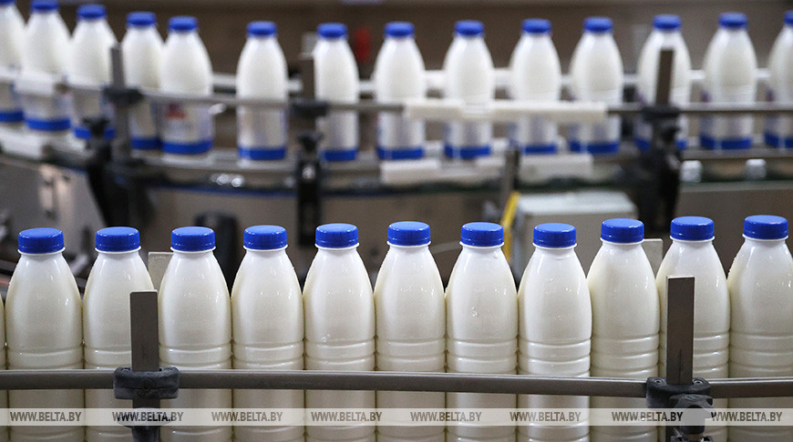 Беларусь наращивает экспорт молочной продукции в Алжир