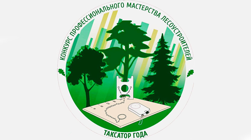 Конкурс на лучшего лесоустроителя пройдет в Логойском районе 25-26 сентября